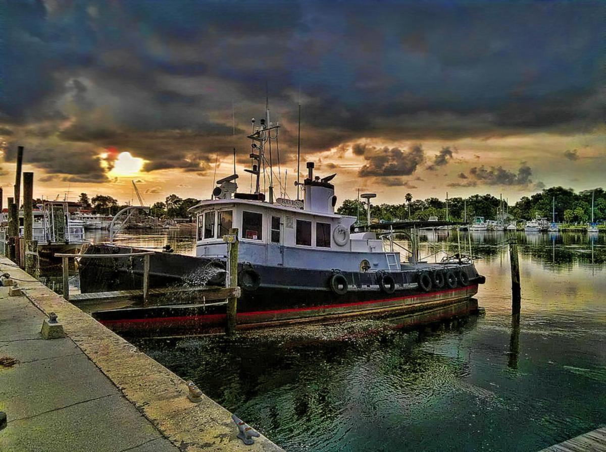 Hibiscus Hideaway Villa Tarpon Springs Exterior photo