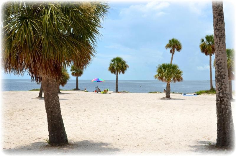 Hibiscus Hideaway Villa Tarpon Springs Exterior photo
